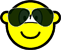 Aviators buddy icon Zonnebril 