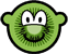 Kiwi fruit buddy icon  