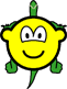 Schildpad buddy icon  