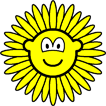 Zonnebloem buddy icon  