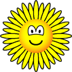 Zonnebloem emoticon  