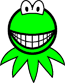 Kermit de Kikker smile  