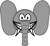 Olifant smile  