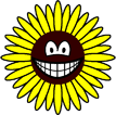 Zonnebloem smile  