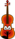 Viool buddy icon