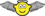 Gevleugelde engel met halo buddy icon