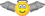Gevleugelde engel met halo emoticon