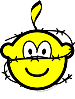 Amnesty buddy icon