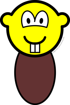 Bever buddy icon