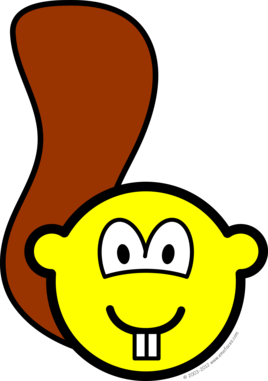 Eekhoorn buddy icon