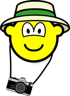 Tourist buddy icon