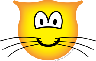 Kat emoticon