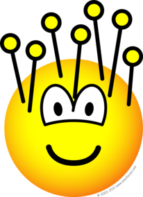 Speldenkussen emoticon