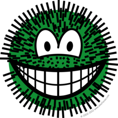 Cactus smile
