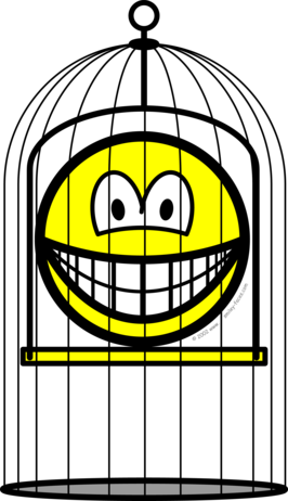 Gekooide smile