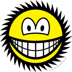 Circelzaag smile