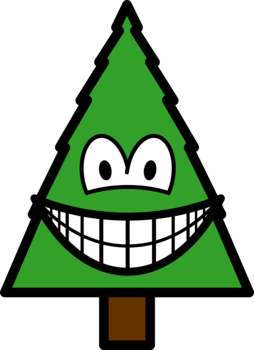 Conifeer smile