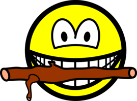 Apporterende smile