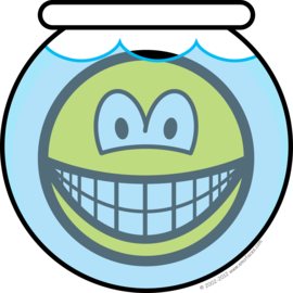 Vissenkom smile