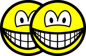 Tweelingen smile