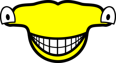 Hamerhoofdhaai smile