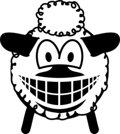 Schaap smile