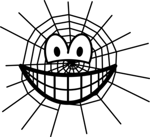 Spinneweb smile