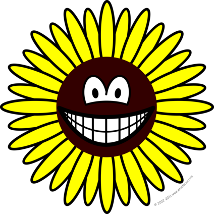 Zonnebloem smile