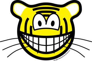 Tijger smile