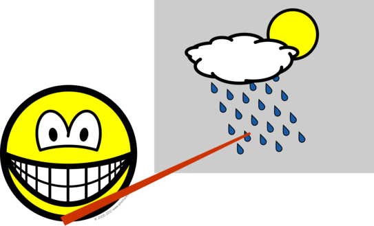 Weerman smile