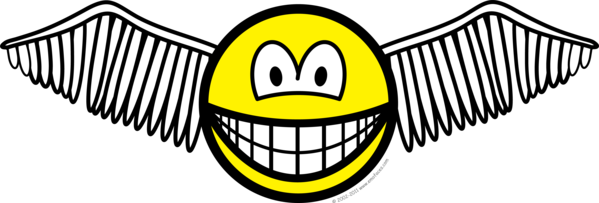 Gevleugelde engel smile