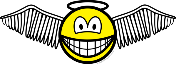 Gevleugelde engel met halo smile