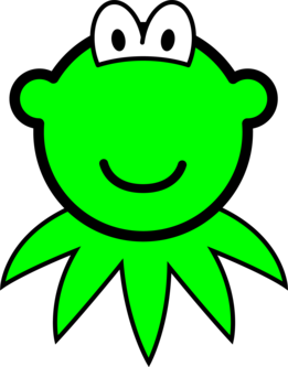 Kermit de Kikker buddy icon
