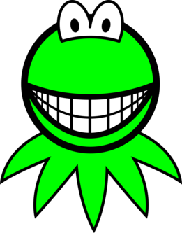 Kermit de Kikker smile
